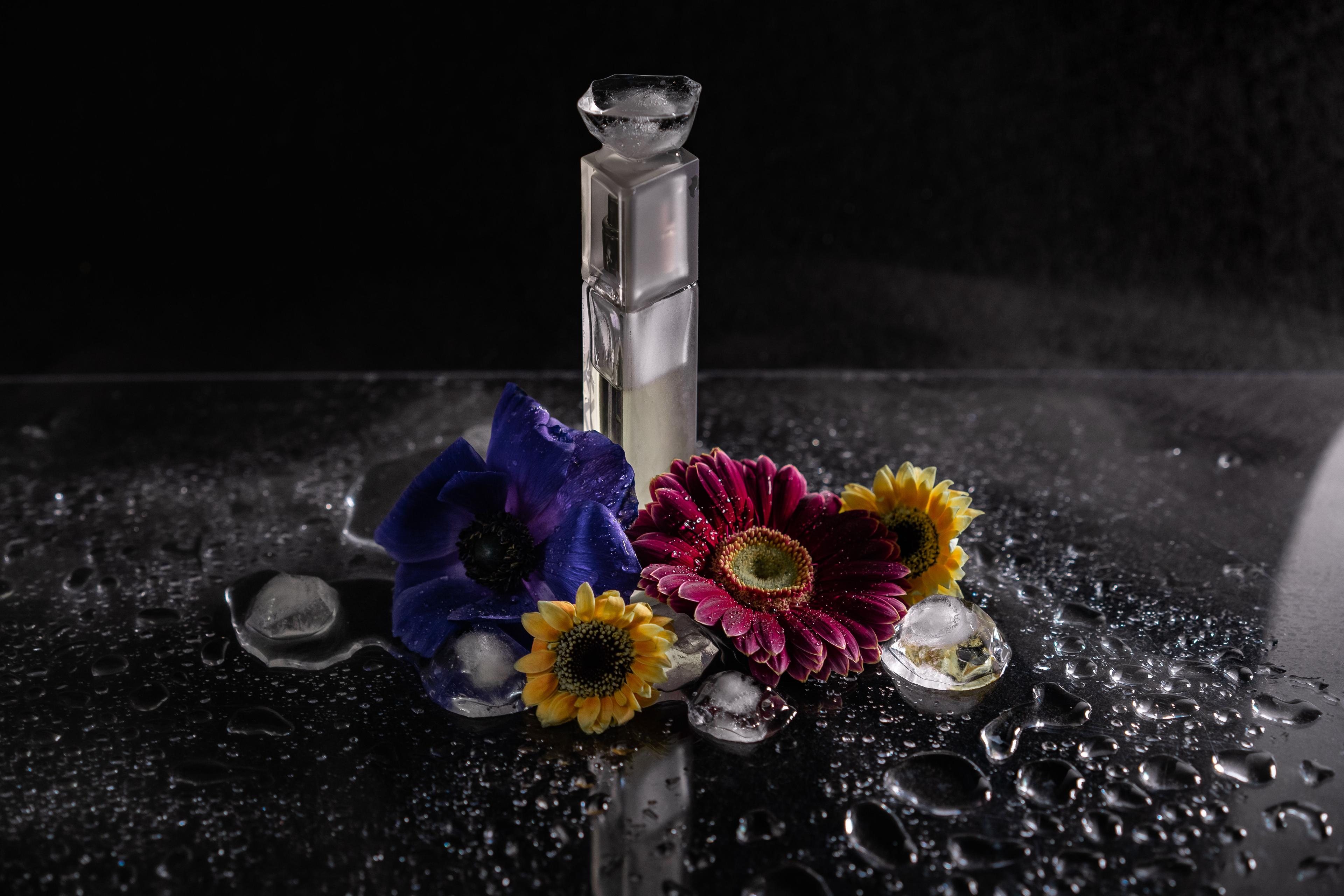 Velvet Rouge dan Dreamy: Dua Parfum Floral Oriental Scarlett dengan Karakter yang Berbeda